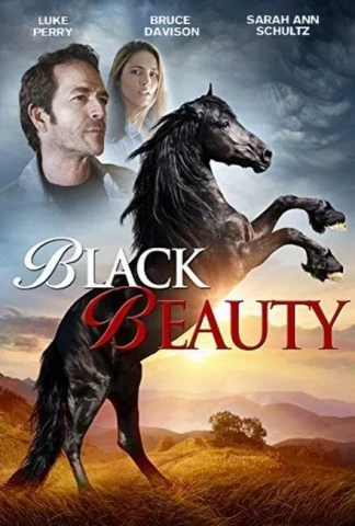 Black Beauty